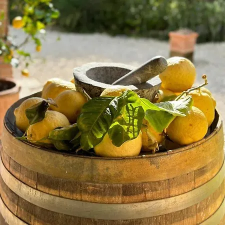 Casale Terre Rosse Bed & Breakfast *
