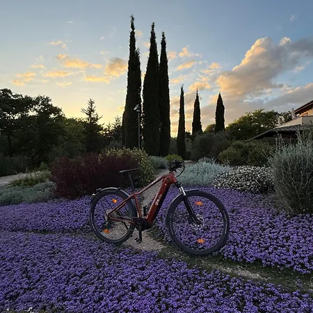 Casale Terre Rosse Bed & Breakfast