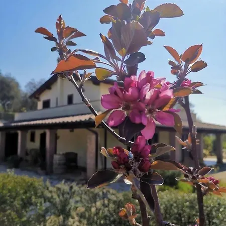 Casale Terre Rosse Frühstückspension *