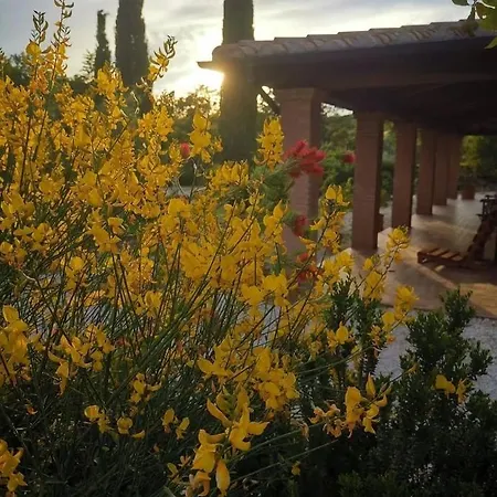 Casale Terre Rosse Frühstückspension