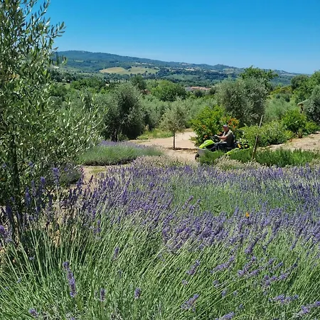 Casale Terre Rosse